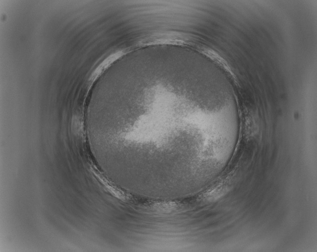 X0000067910882200604131341