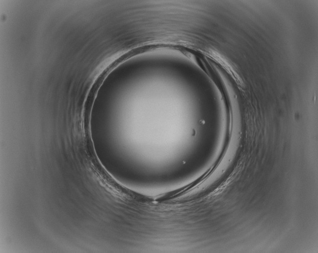 X0000067910884200604131341