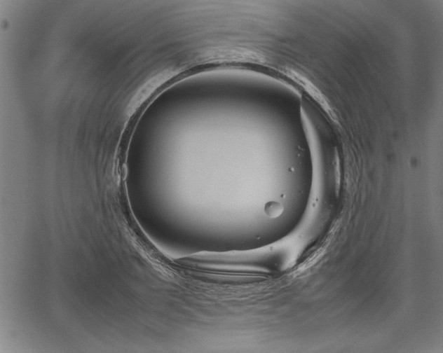 X0000067910885200604131340