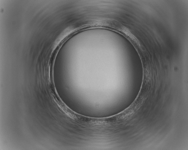 X0000067910886200604131340