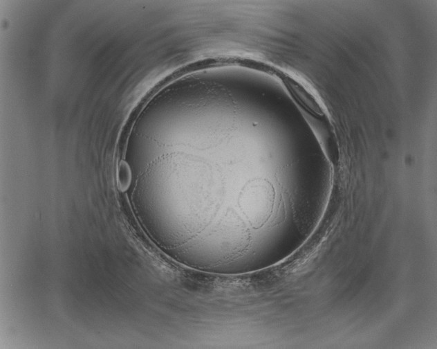 X0000067910887200604131340