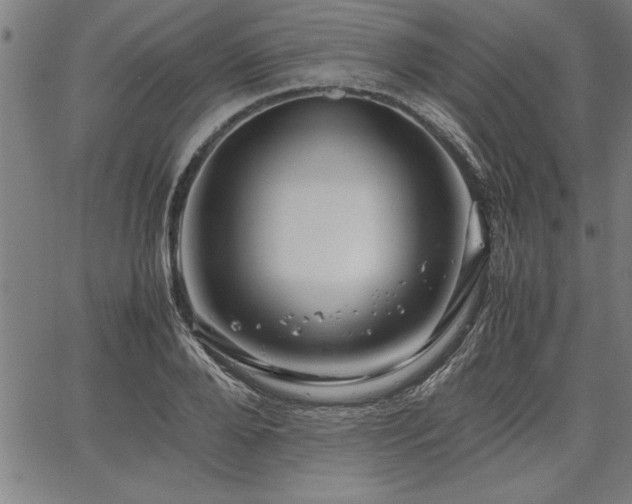 X0000067910888200604131340