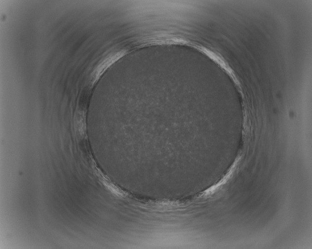 X0000067910889200604131340