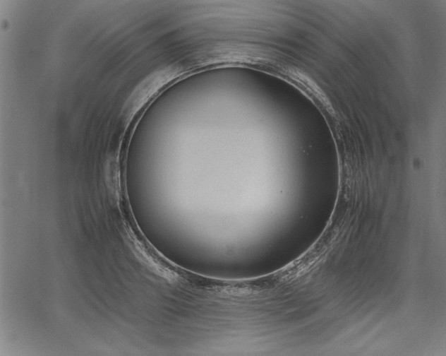 X0000067910890200604131340