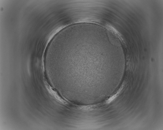 X0000067910892200604131340