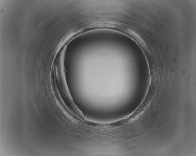 X0000067910893200604131340