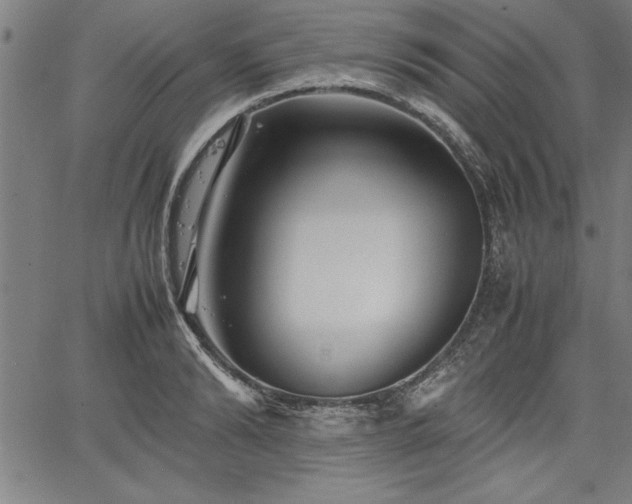 X0000067910894200604131340