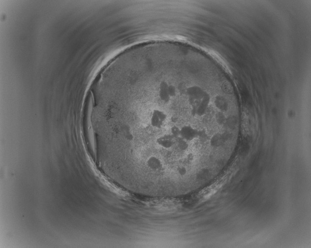 X0000067910895200604131340