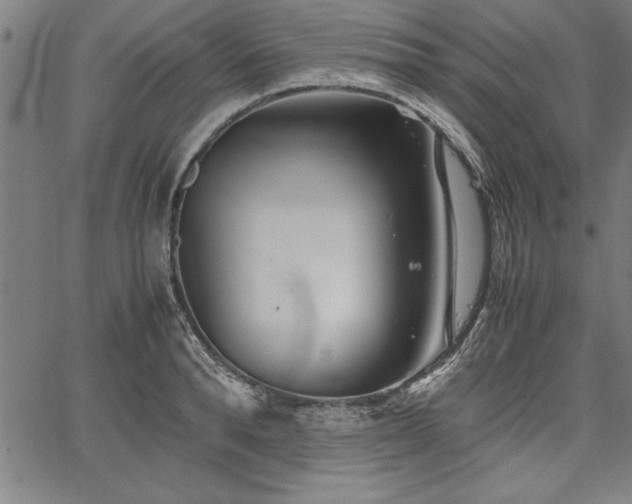 X0000067910896200604131340