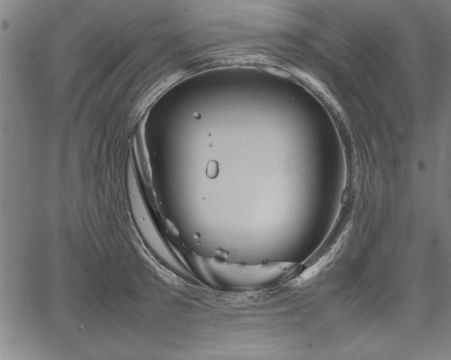 X0000067910897200604131340