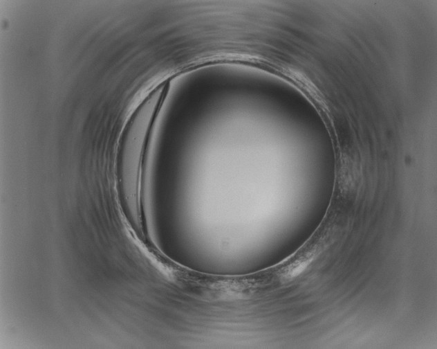 X0000067910898200604131340