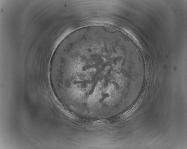 X0000067910899200604131340