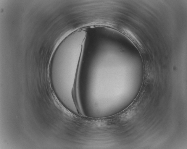 X0000067910900200604131340