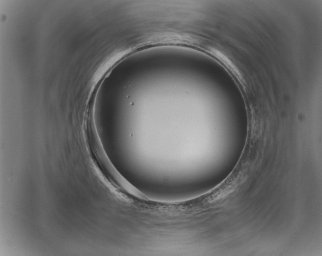 X0000067910901200604131340