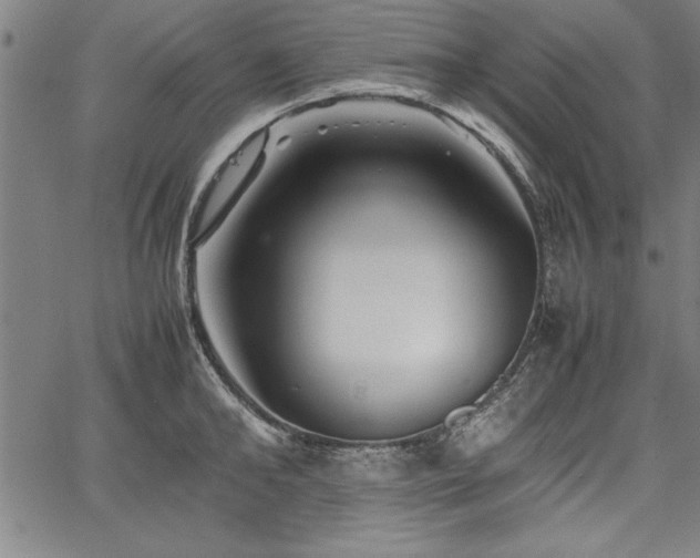 X0000067910902200604131340