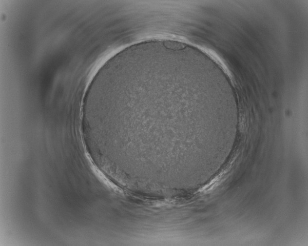 X0000067910903200604131340