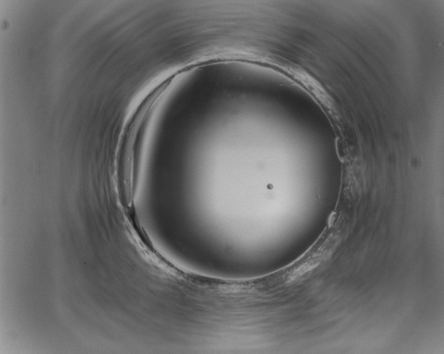 X0000067910904200604131340