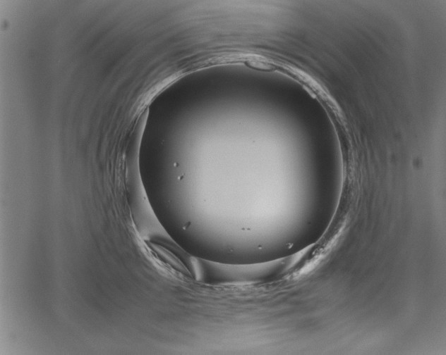 X0000067910905200604131340