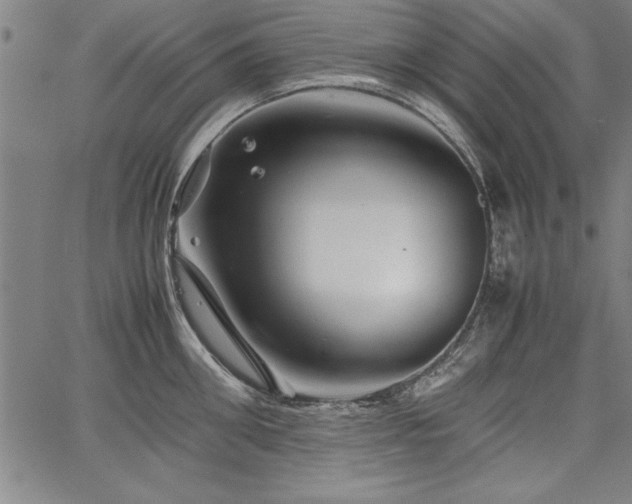 X0000067910906200604131340