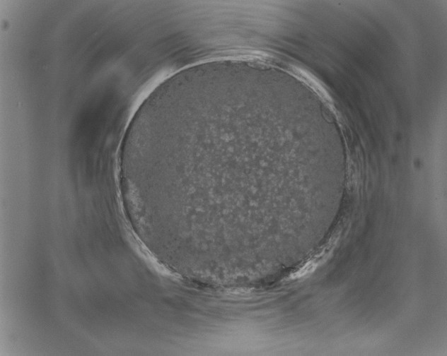 X0000067910907200604131340