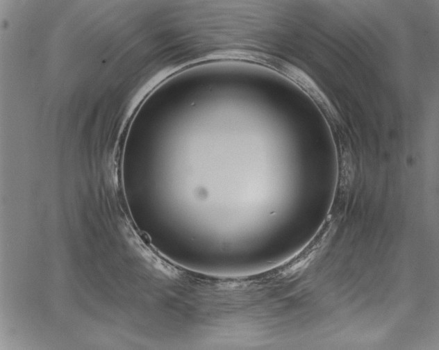 X0000067910908200604131340