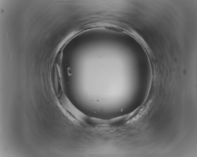 X0000067910909200604131340