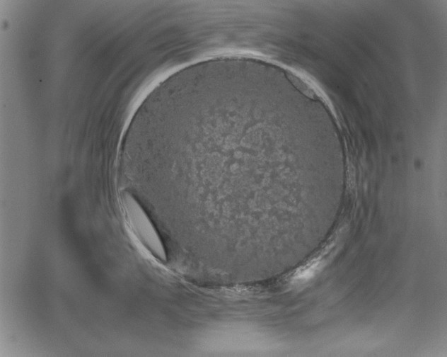 X0000067910911200604131340