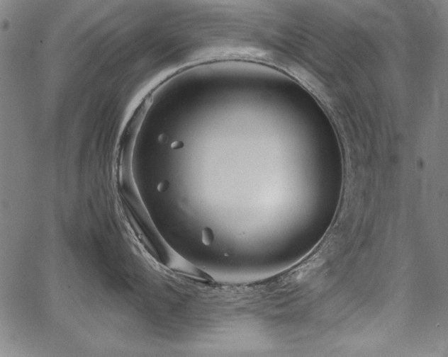 X0000067910912200604131340