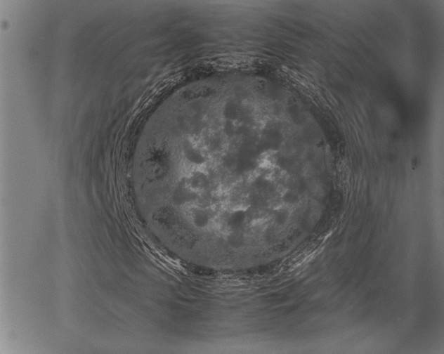 X0000067910913200604131339