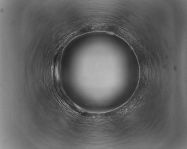 X0000067910914200604131339