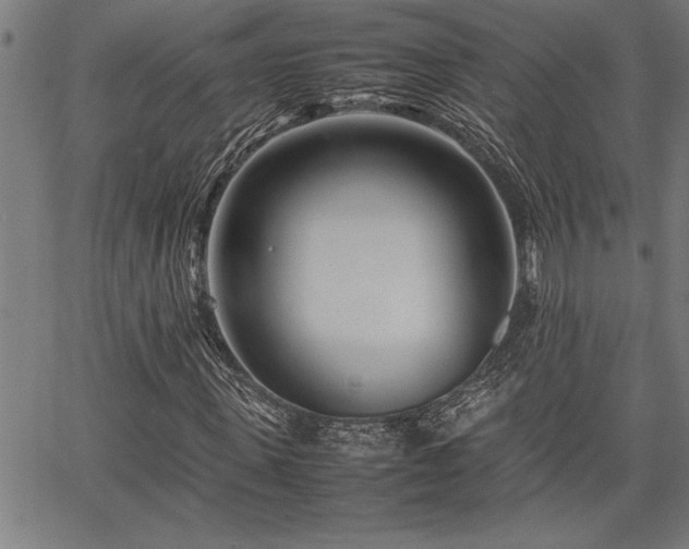 X0000067910915200604131339