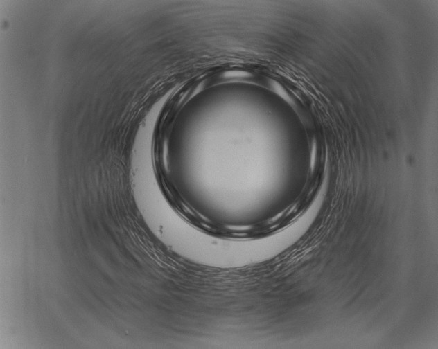 X0000067910916200604131339