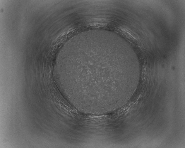 X0000067910917200604131339