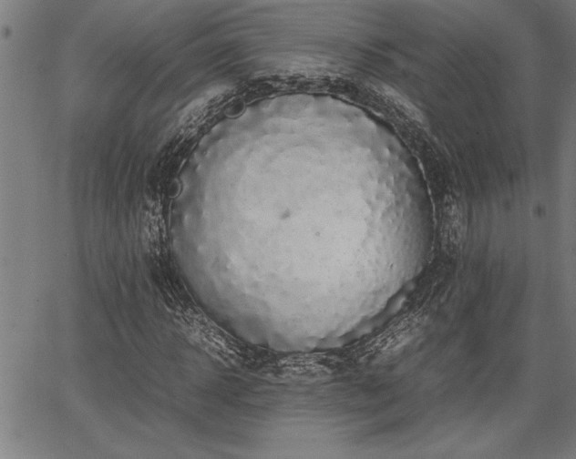 X0000067910918200604131339