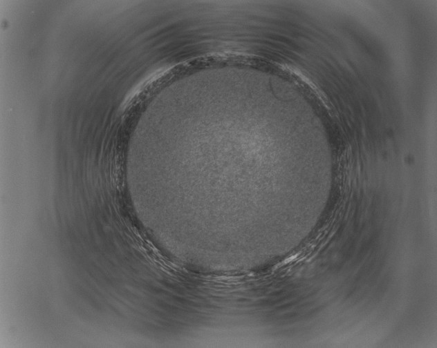 X0000067910919200604131339