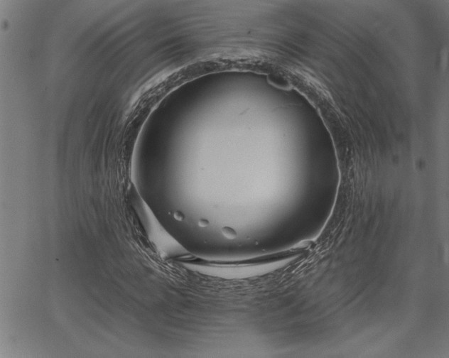 X0000067910920200604131339