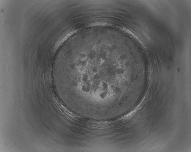 X0000067910921200604131339