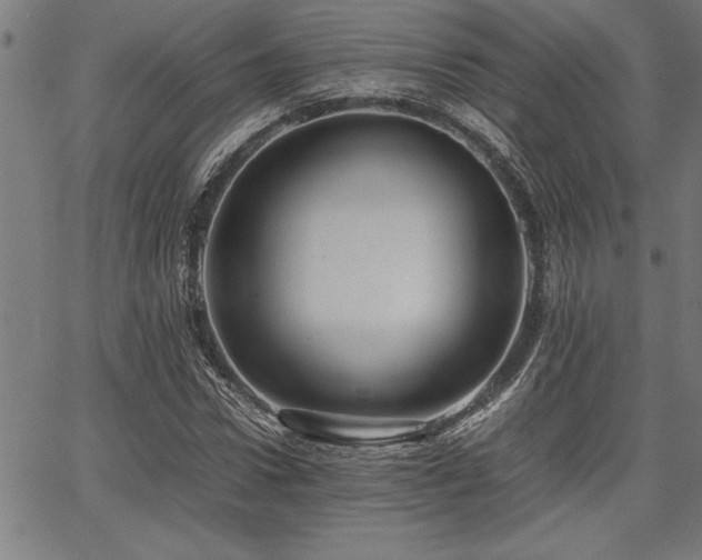 X0000067910922200604131339