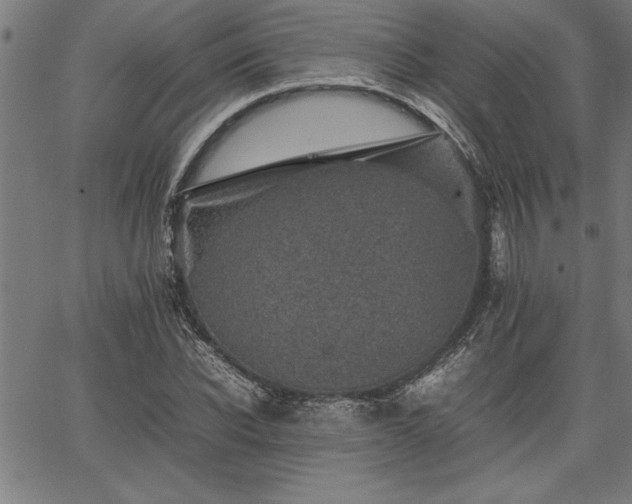 X0000067910926200604131339