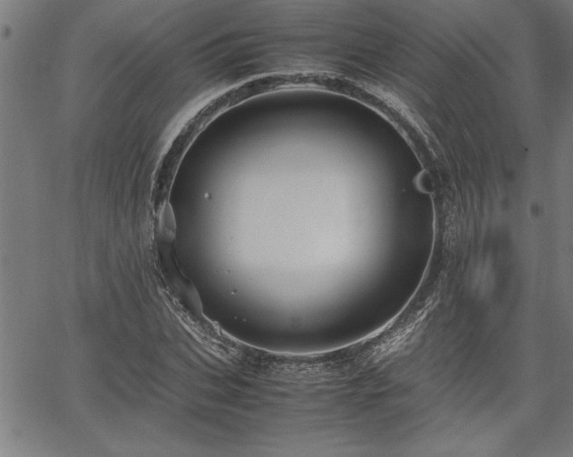 X0000067910927200604131340