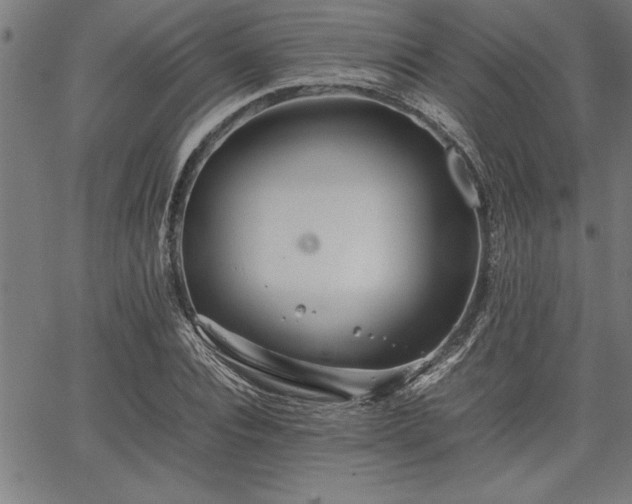 X0000067910928200604131340