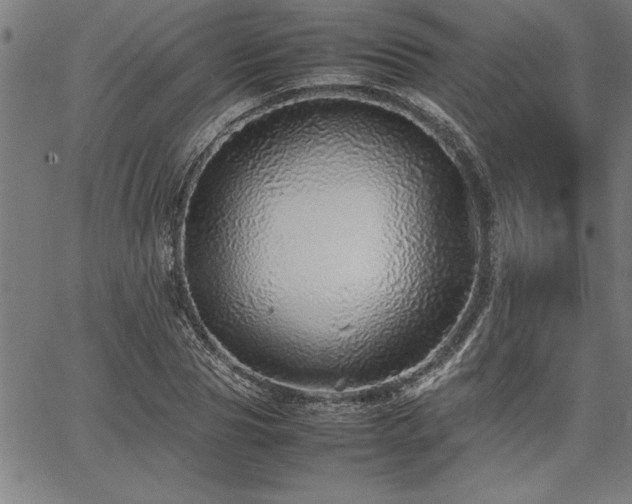 X0000067910929200604131340