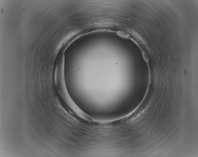 X0000067910930200604131340