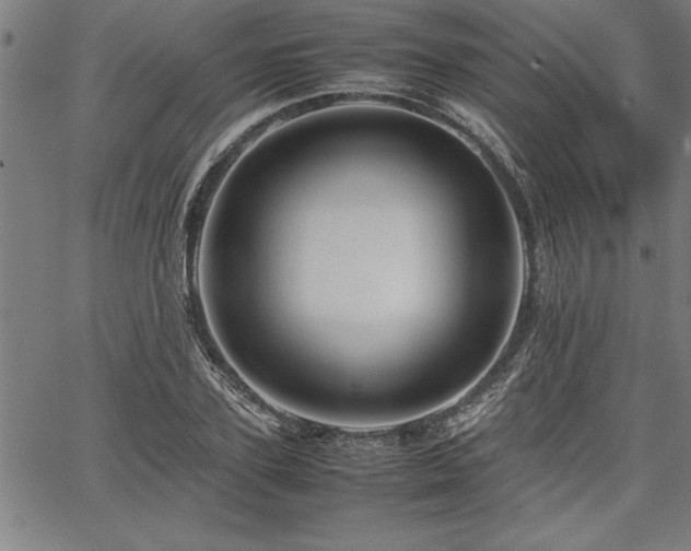 X0000067910931200604131340