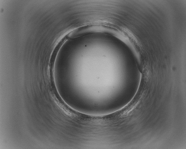 X0000067910932200604131340