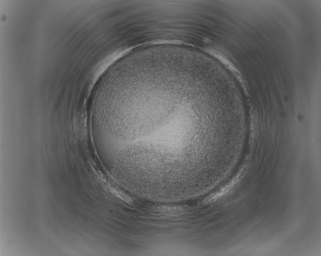 X0000067910933200604131340