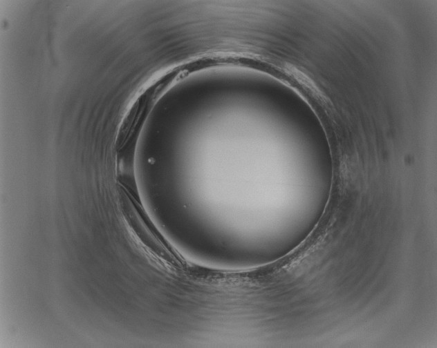 X0000067910934200604131340