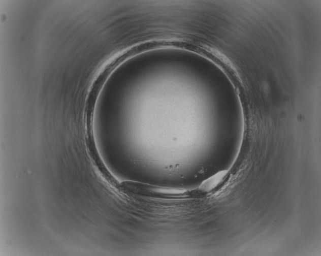 X0000067910935200604131340