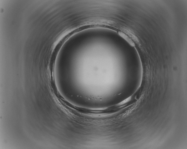 X0000067910936200604131340