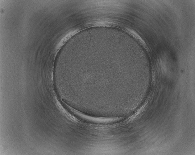 X0000067910938200604131340